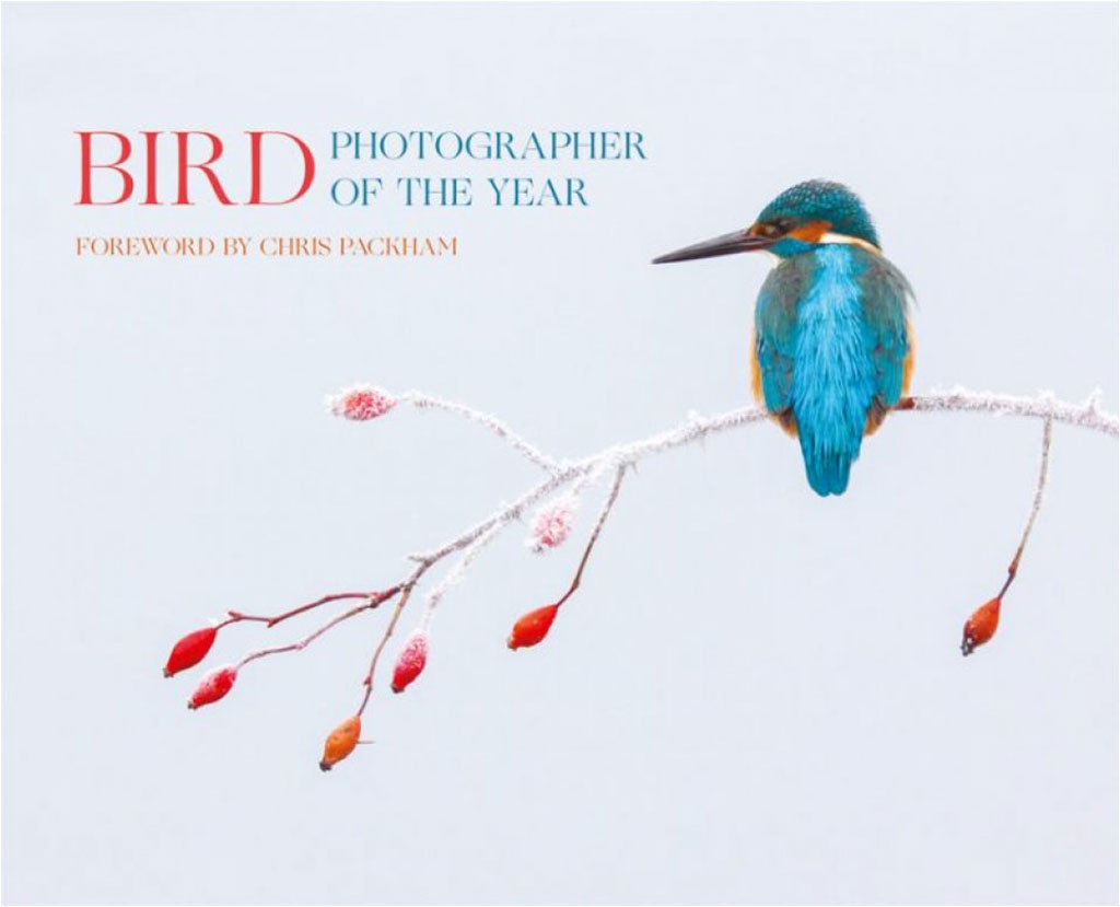 BIRD PHOTOGRAPHER OF THE YEAR. COLLECTION 2 1