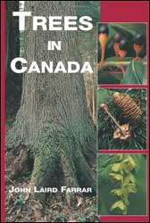TREES IN CANADA 1