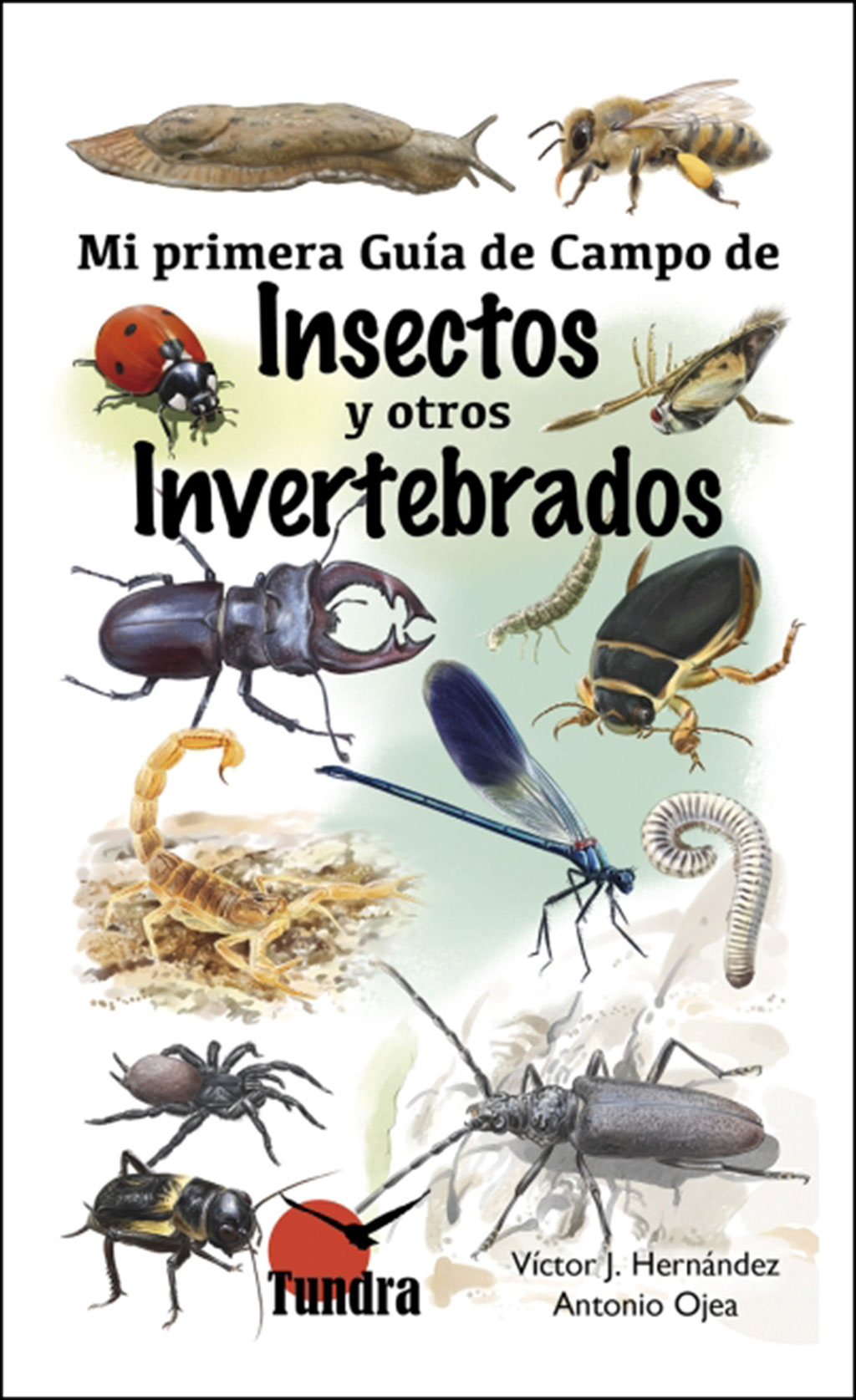 MI PRIMERA GUÍA DE CAMPO DE INSECTOS Y OTROS INVERTEBRADOS 1