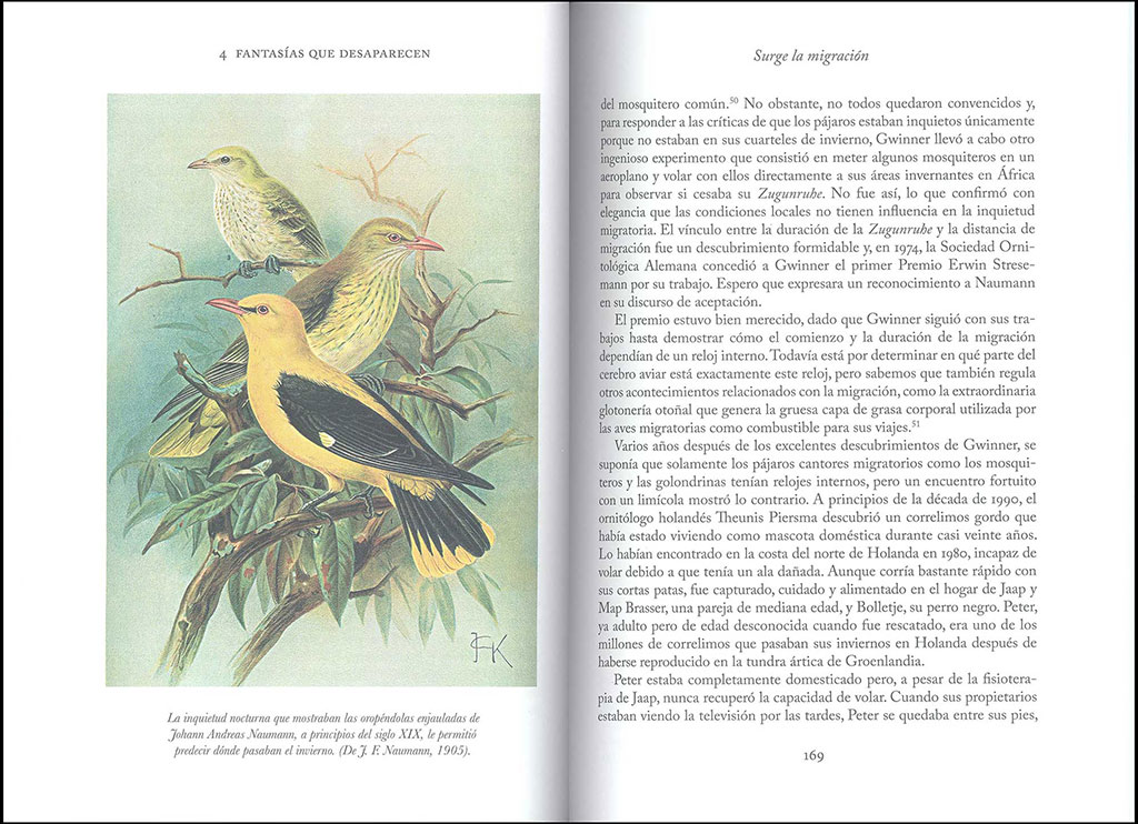 LA SABIDURIA DE LAS AVES 4