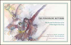 THE PEREGRINE RETURNS. THE ART AND ARCHITECTURE OF AN URBAN RAPTOR RECOVERY 1