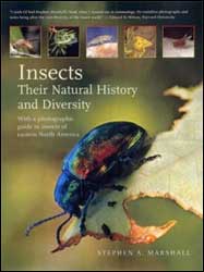 INSECTS. THEIR NATURAL HISTORY AND DIVERSITY 1