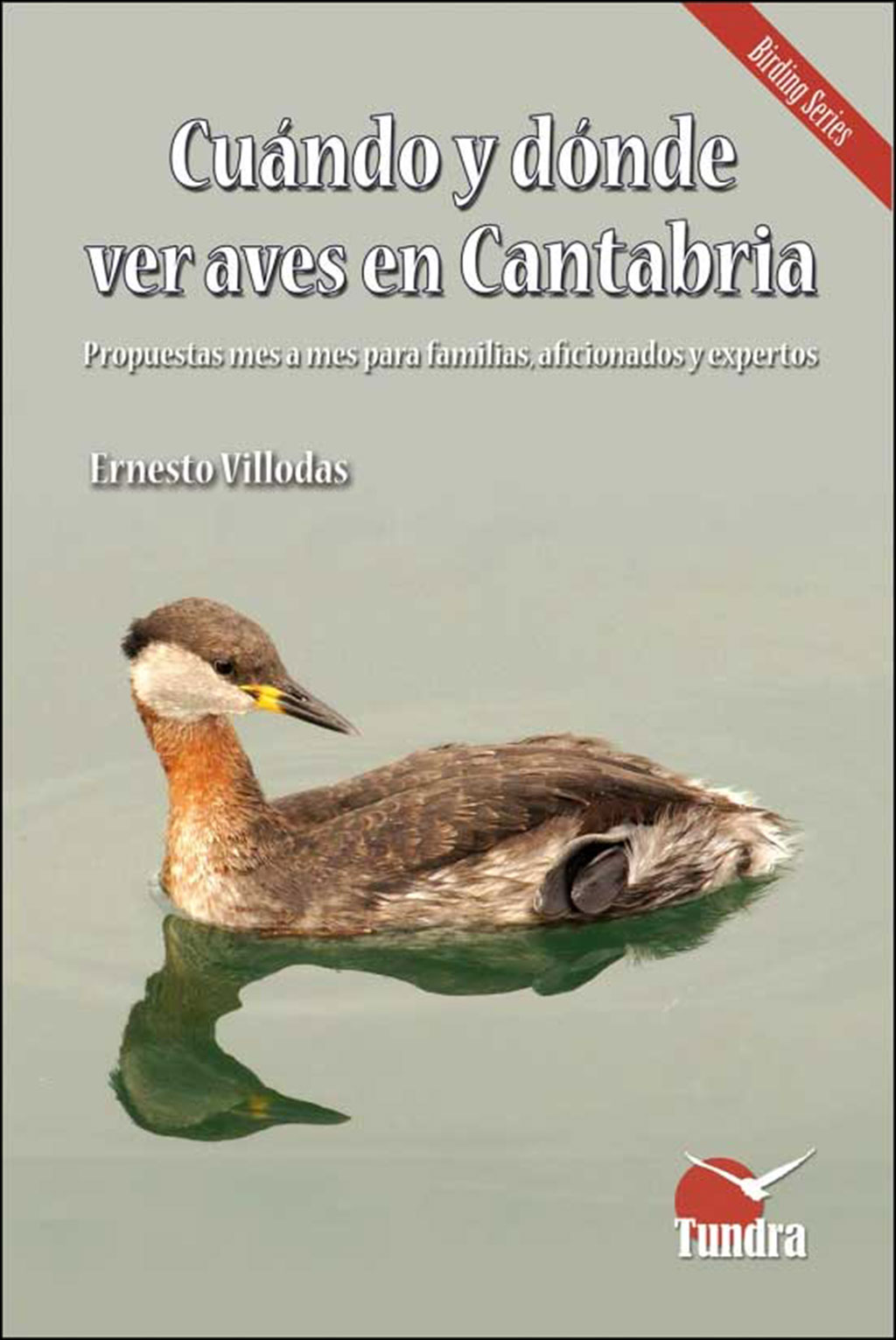 CUÁNDO Y DÓNDE VER AVES EN CANTABRIA. PROPUESTAS MES A MES PARA FAMILIAS, AFICIONADOS Y EXPERTOS 1