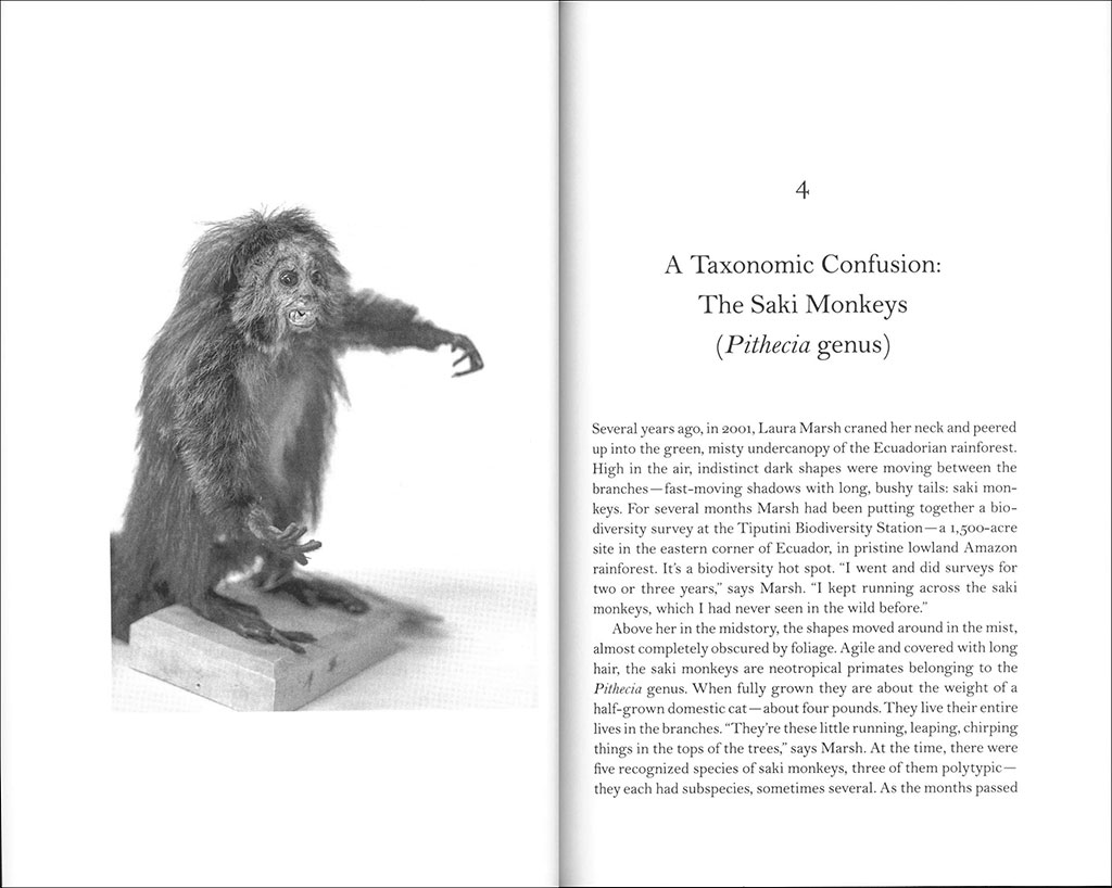 THE LOST SPECIES. GREAT EXPEDITIONS IN THE COLLECTIONS OF NATURAL HISTORY MUSEUMS 2
