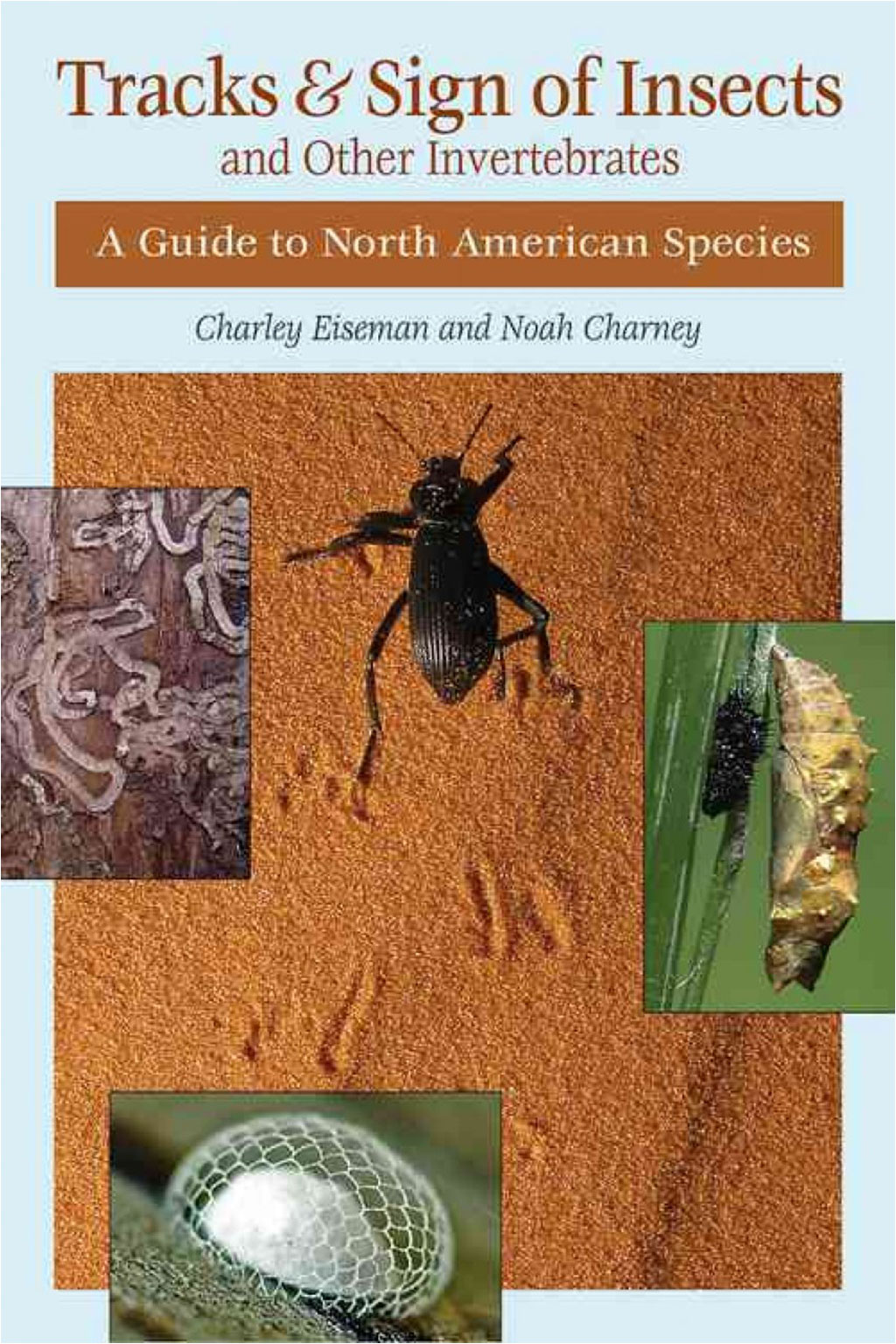 TRACKS &AMP; SIGN OF INSECTS &AMP; OTHER INVERTEBRATES: A GUIDE TO NORTH AMERICAN SPECIES 1