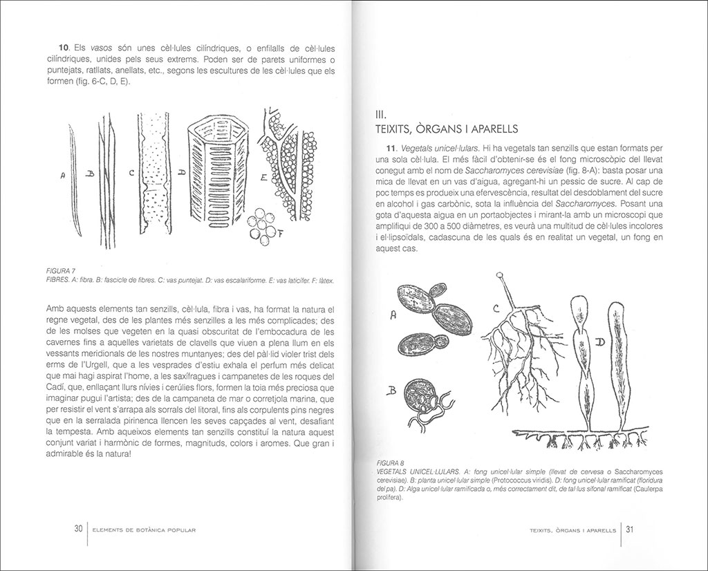 ELEMENTS DE BOTÀNICA POPULAR 2