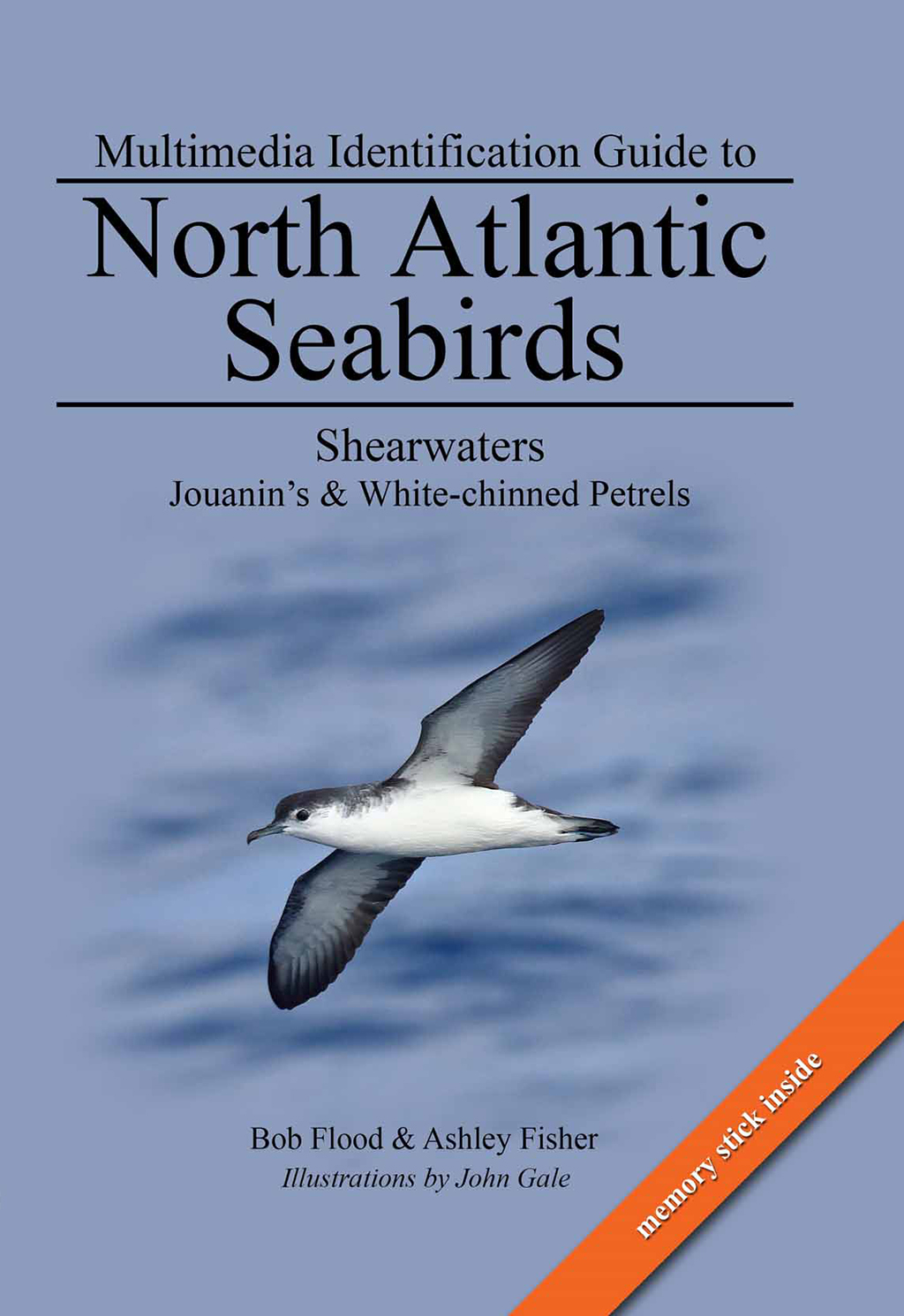 MULTIMEDIA IDENTIFICATION GUIDE TO NORTH ATLANTIC SEABIRDS. SHEARWATERS. JOUANIN'S &AMP; WHITE-CHINNED PETRELS 1
