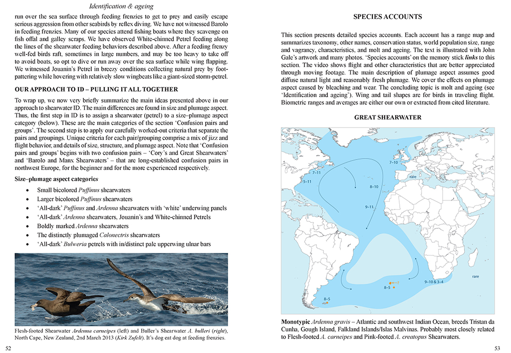 MULTIMEDIA IDENTIFICATION GUIDE TO NORTH ATLANTIC SEABIRDS. SHEARWATERS. JOUANIN'S &AMP; WHITE-CHINNED PETRELS 3