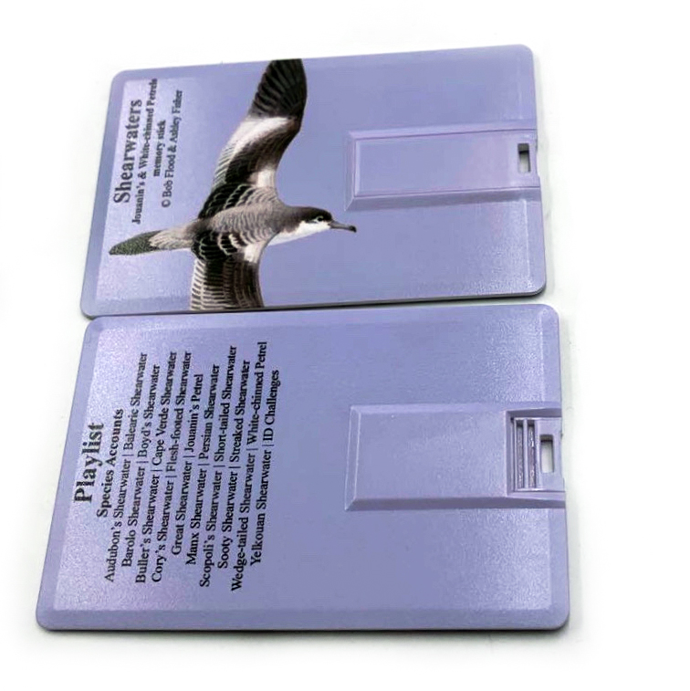 MULTIMEDIA IDENTIFICATION GUIDE TO NORTH ATLANTIC SEABIRDS. SHEARWATERS. JOUANIN'S &AMP; WHITE-CHINNED PETRELS 6