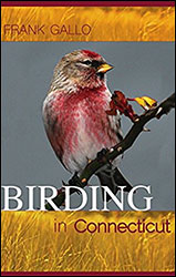BIRDING IN CONNECTICUT 1