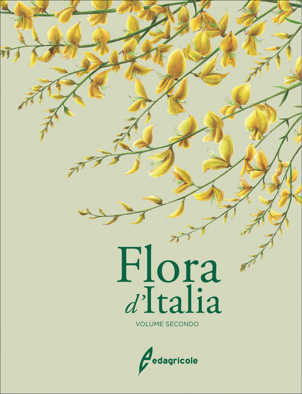 FLORA D'ITALIA VOLUME SECONDO 1