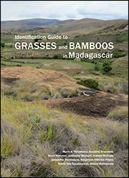 IDENTIFICATION GUIDE TO GRASSES AND BAMBOOS IN MADAGASCAR 1