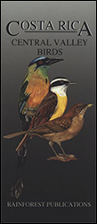 COSTA RICA. CENTRAL VALLEY BIRDS 1