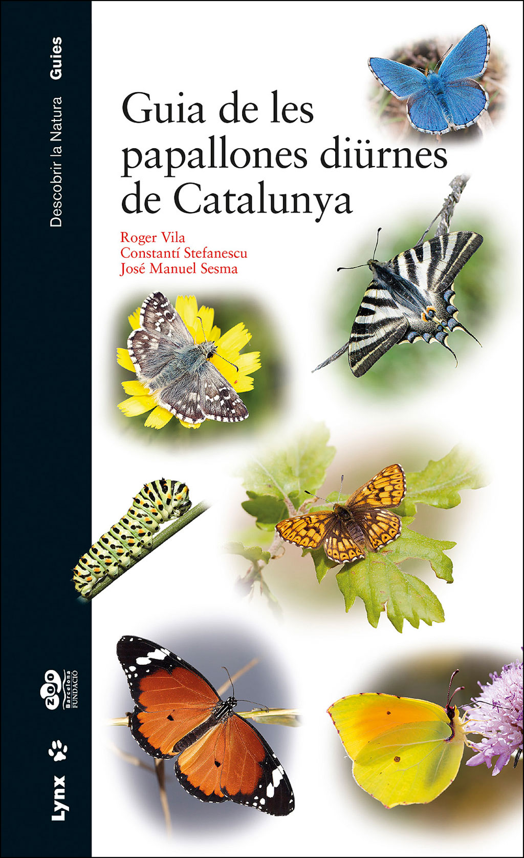 GUIA DE LES PAPALLONES DIÜRNES DE CATALUNYA 1