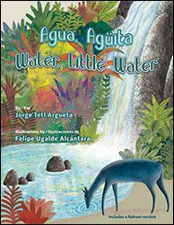 AGUA, AGÜITA/WATER, LITTLE WATER 1