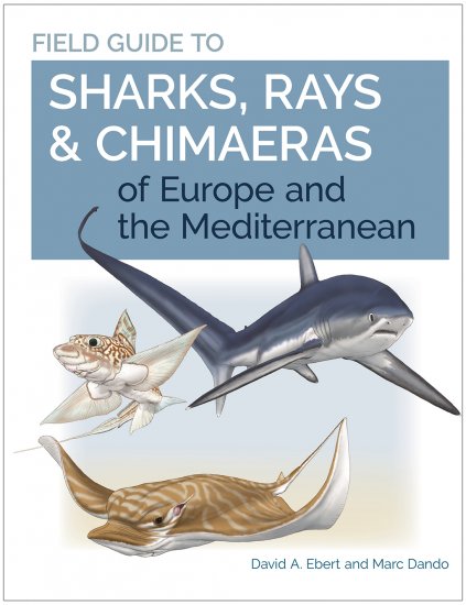 FIELD GUIDE TO SHARKS, RAYS AND CHIMAERAS OF EUROPE AND THE MEDITERRANEAN 1