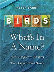 BIRDS, WHAT'S IN A NAME? 1