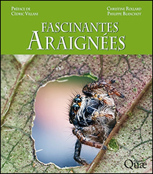 FASCINANTES ARAIGNÉES 1
