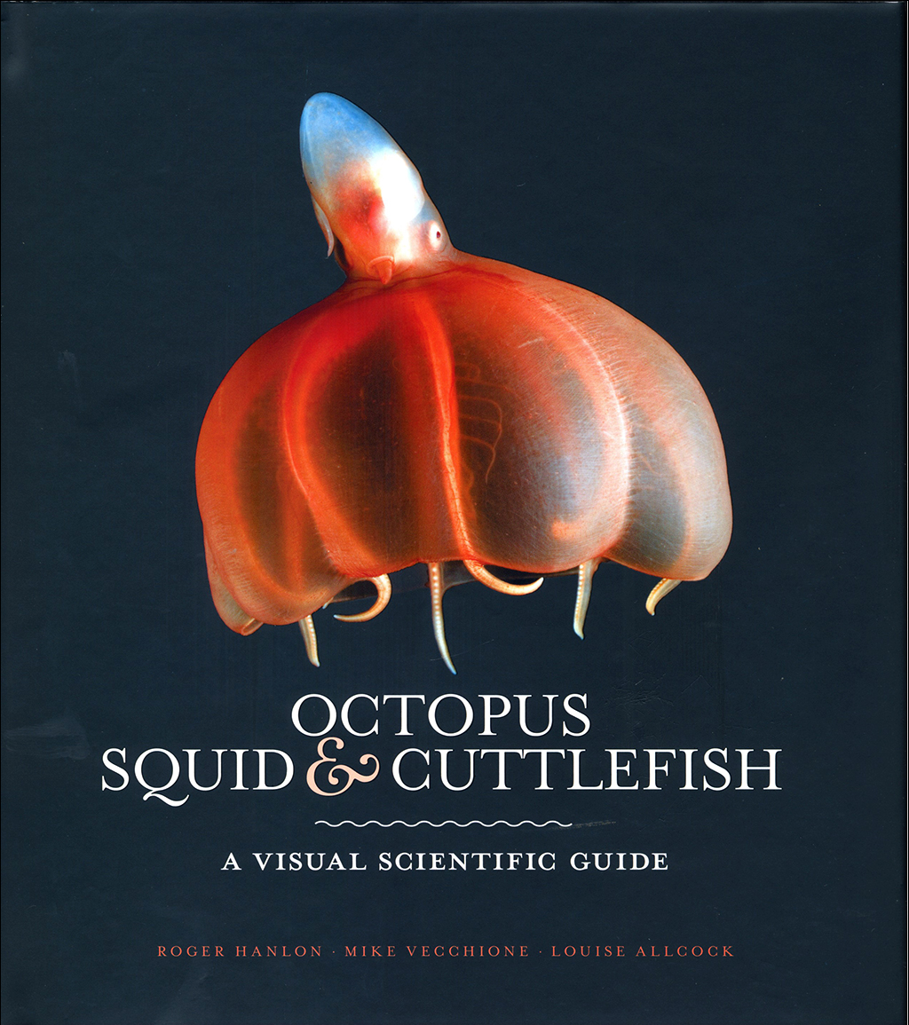 OCTOPUS, SQUID &AMP; CUTTLEFISH: THE WORLDWIDE ILLUSTRATED GUIDE TO CEPHALOPODS 1