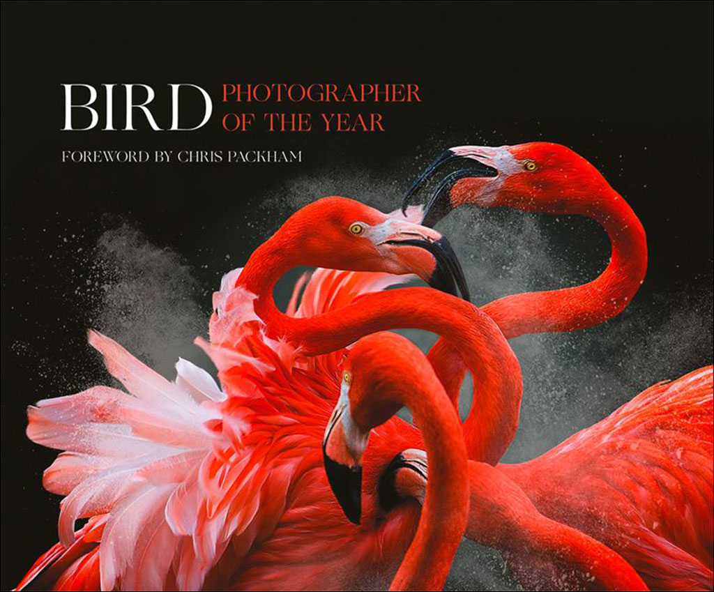 BIRD PHOTOGRAPHER OF THE YEAR. COLLECTION 3 1