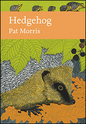 HEDGEHOG 1