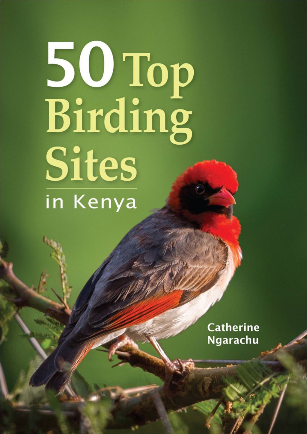 50 TOP BIRDING SITES IN KENYA 1
