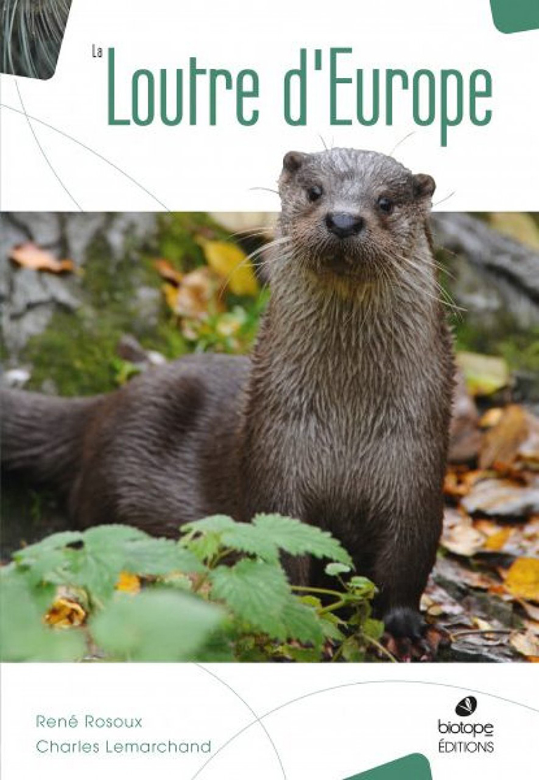 LA LOUTRE D'EUROPE 1