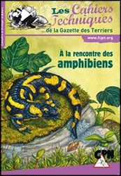 À LA RENCONTRE DES AMPHIBIENS 1