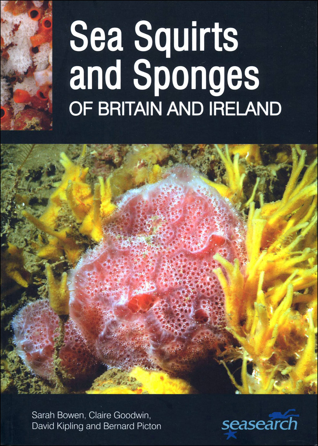 SEA SQUIRTS AND SPONGES OF BRITAIR AND IRELAND 1