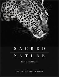 SACRED NATURE FROM THE BIG CAT PEOPLE 1