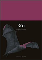 BAT 1