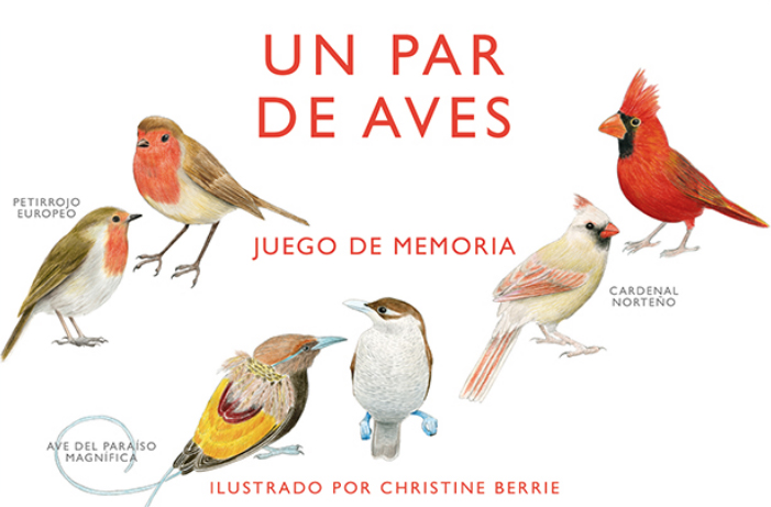UN PAR DE AVES. JUEGO DE MEMORIA 1