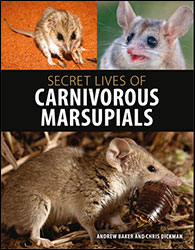 SECRET LIVES OF CARNIVOROUS MARSUPIALS 1
