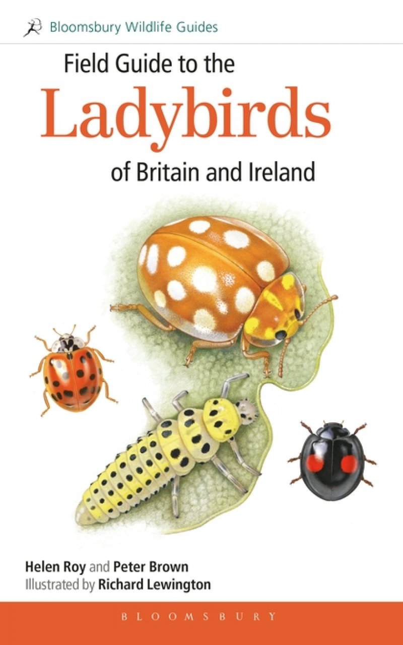 FIELD GUIDE TO THE LADYBIRDS OF BRITAIN AND IRELAND 1