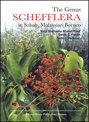THE GENUS SCHEFFLERA IN SABAH, MALAYSIAN BORNEO 1
