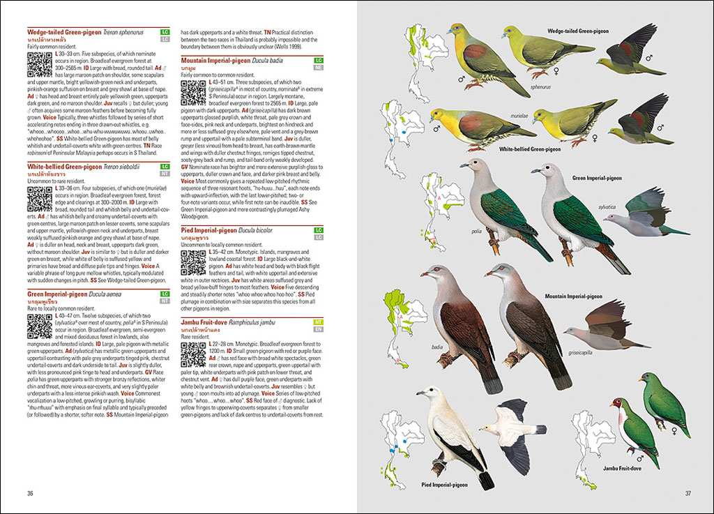 BIRDS OF THAILAND 2