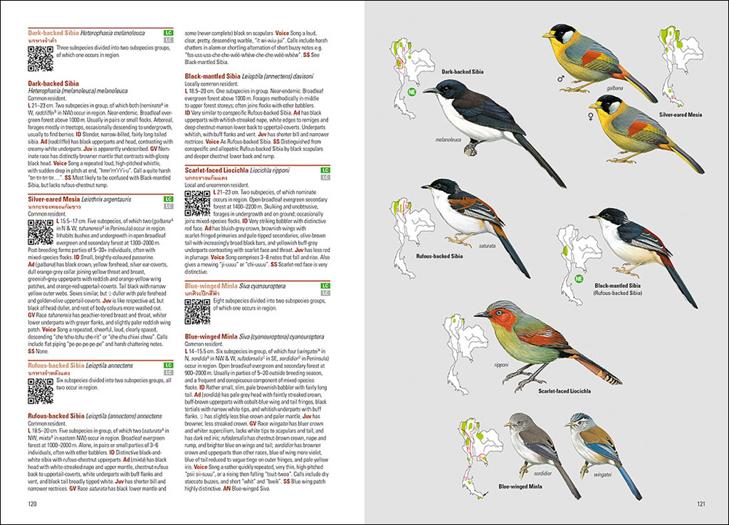 BIRDS OF THAILAND 3