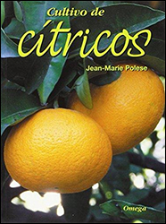 CULTIVO DE CÍTRICOS 1
