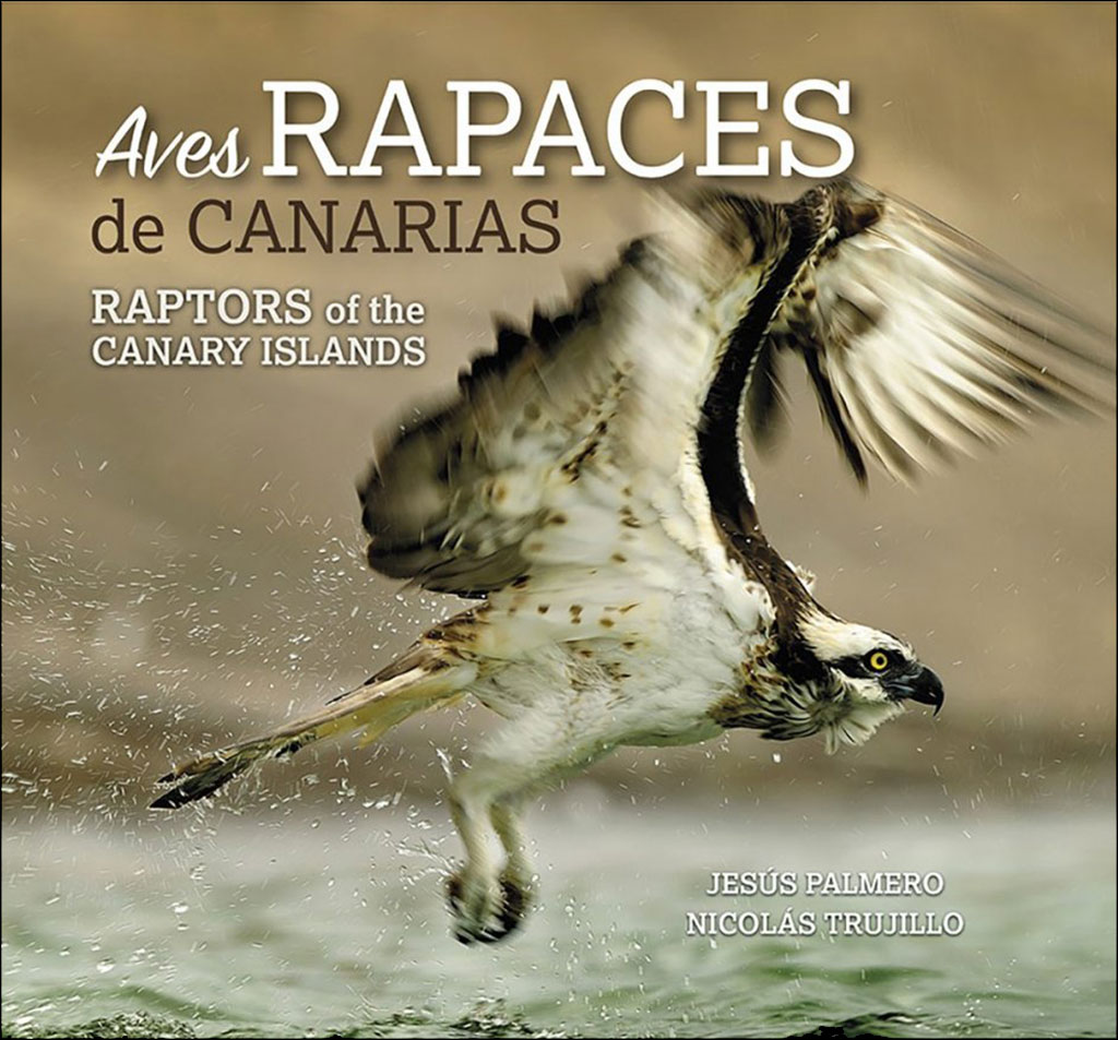 AVES RAPACES DE CANARIAS. RAPTORS OF THE CANARY ISLAND. 1