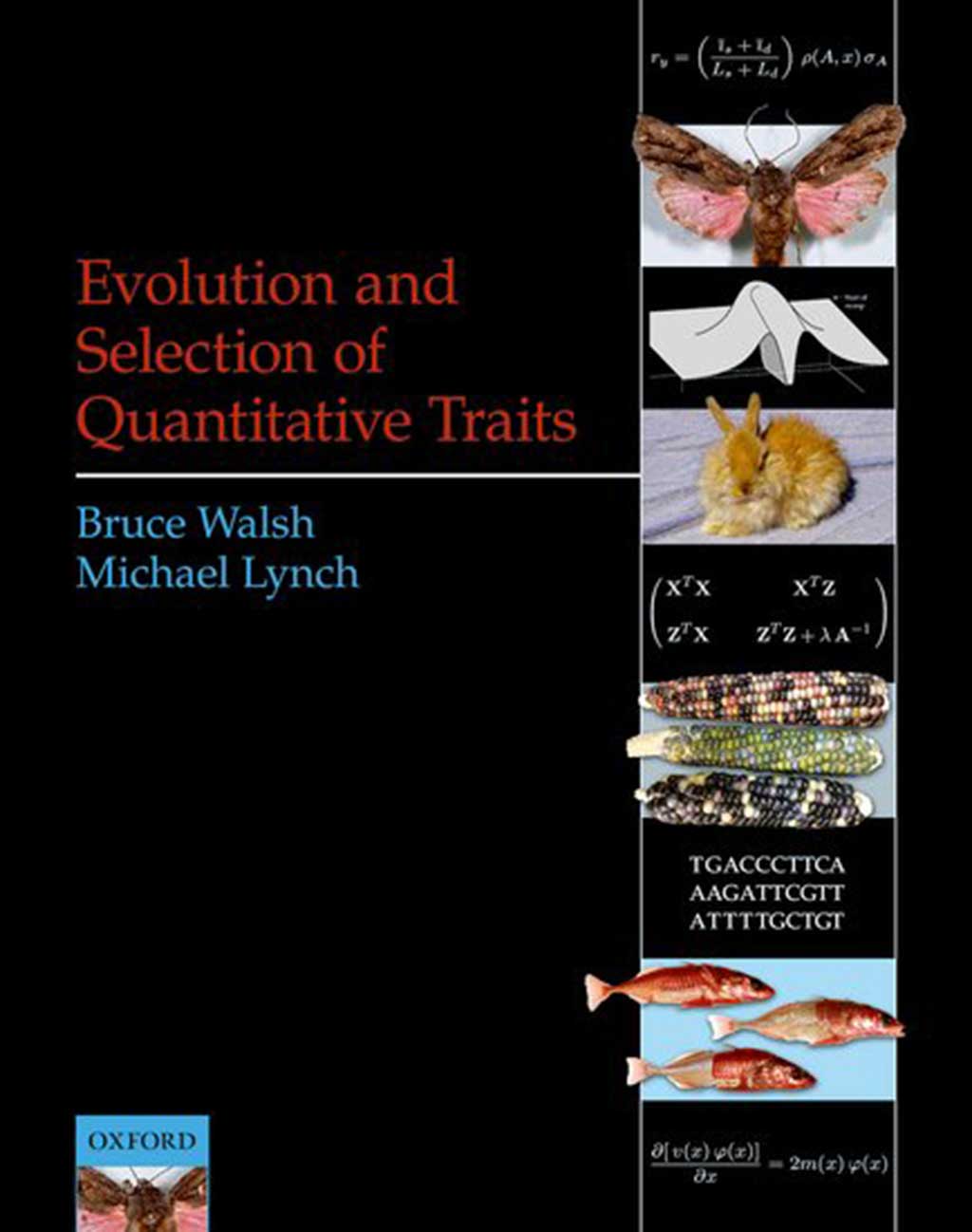 EVOLUTION AND SELECTION OF QUANTITATIVE TRAITS 1