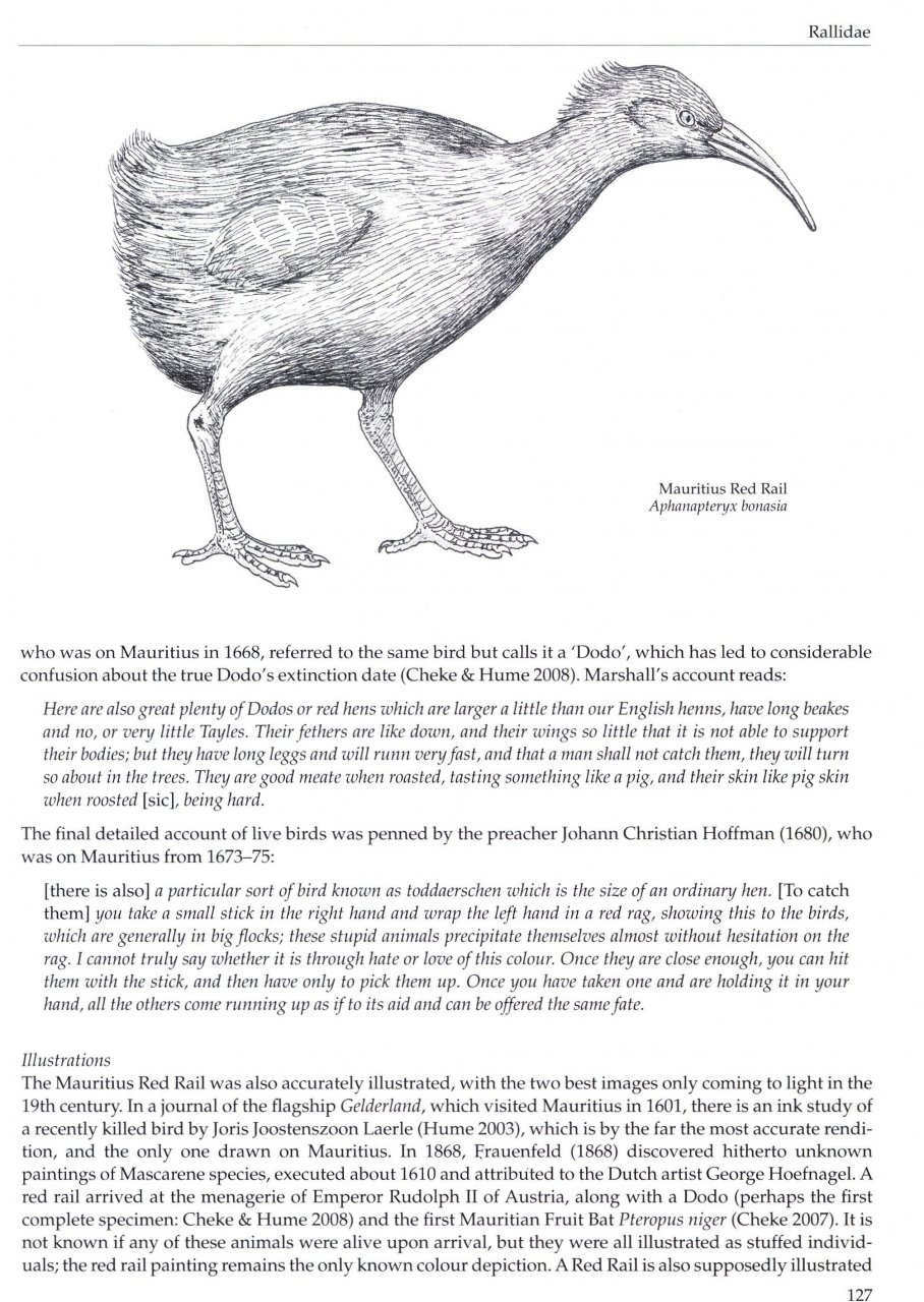 EXTINCT BIRDS. 3