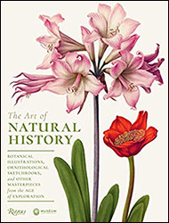 THE ART OF NATURAL HISTORY 1