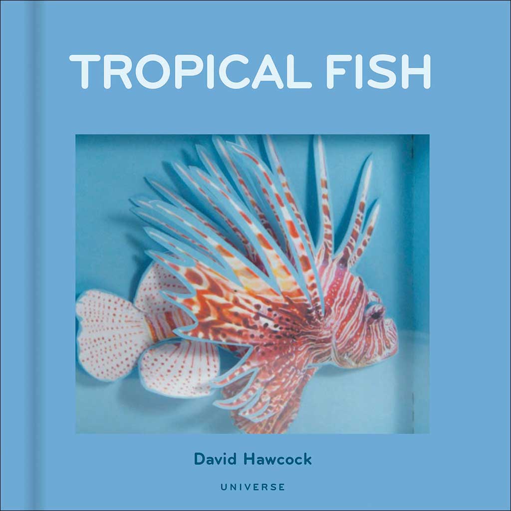TROPICAL FISH 1