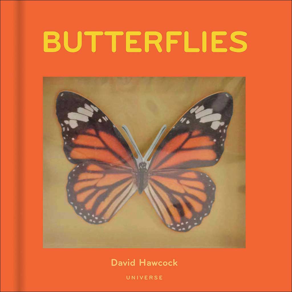 BUTTERFLIES 1