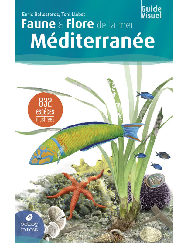 FAUNE &AMP; FLORE DE LA MER MÉDITERRANÉE 1