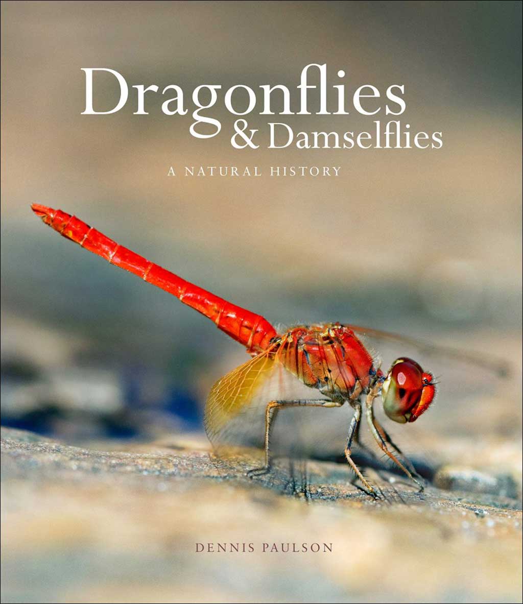 DRAGONFLIES &AMP; DAMSELFIES: A NATURAL HISTORY 1