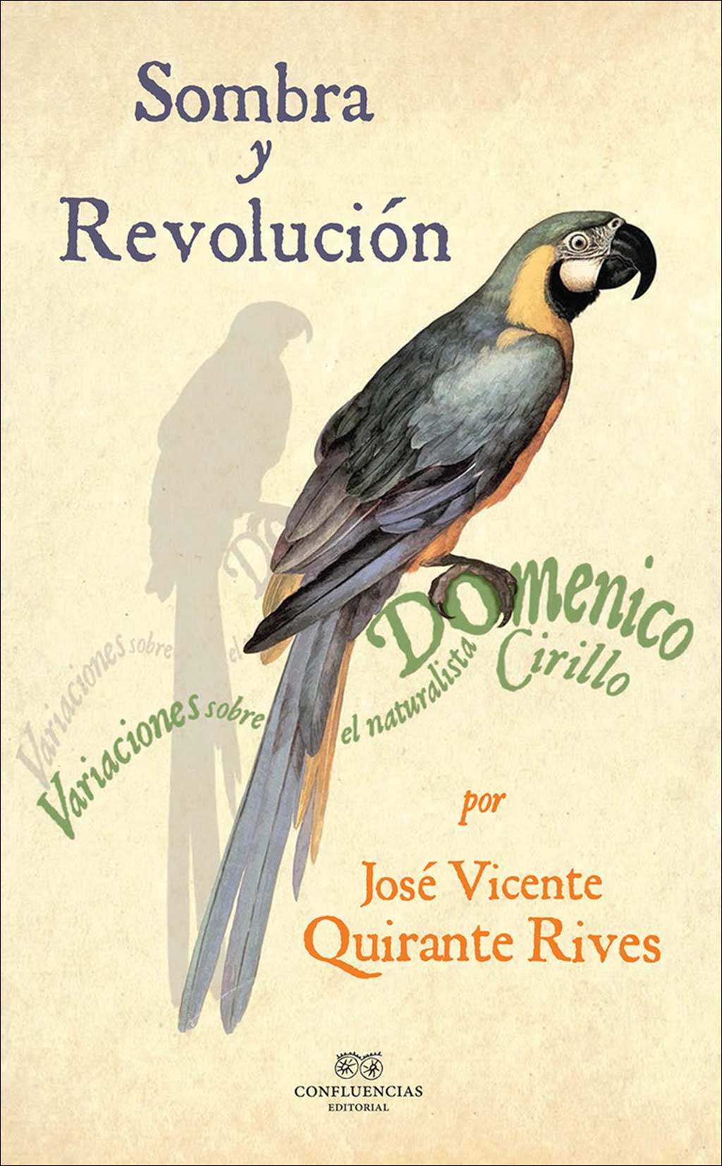 SOMBRA Y REVOLUCION 1