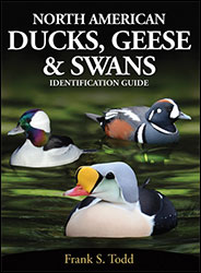 NORTH AMERICAN DUCKS, GEESE &AMP; SWANS: IDENTIFICATION GUIDE 1