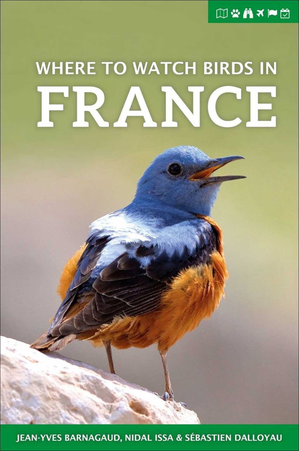 WHERE TO WATCH BIRDS IN FRANCE 1