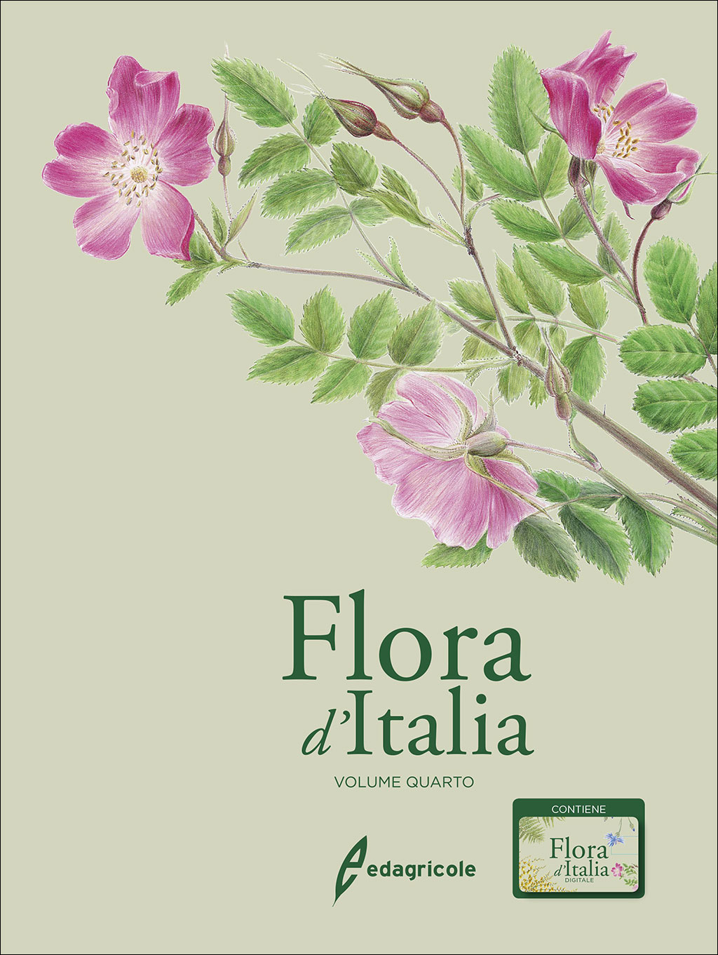 FLORA D'ITALIA. VOLUME QUARTO 1